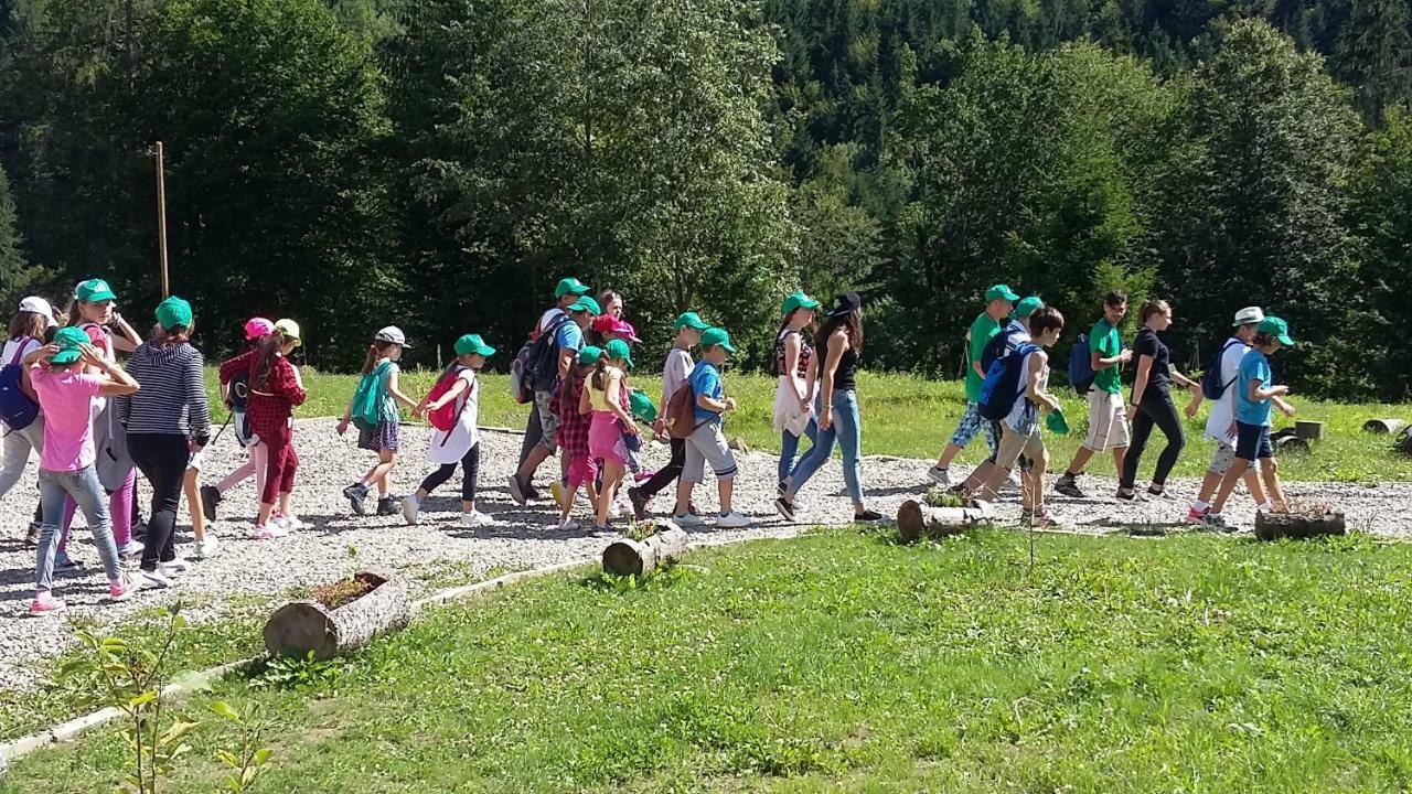 Pensiunea Poiana Soarelui Brates Luaran gambar